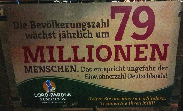Denksport